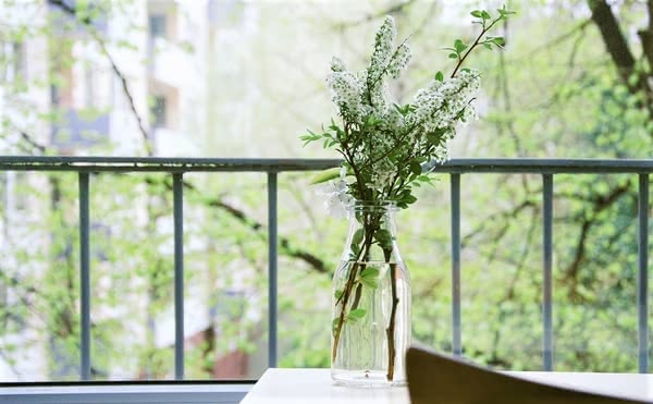 敏感肌,化粧水,おすすめ,ランキング,人気,プチプラ
