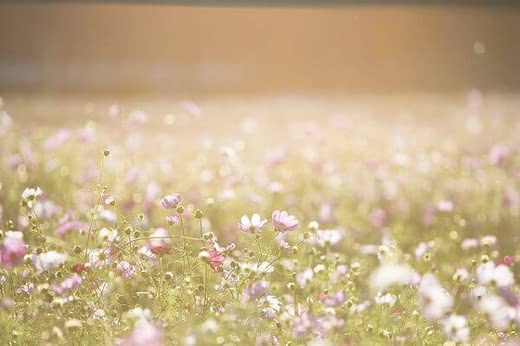 産後肌荒れ人気おすすめランキング