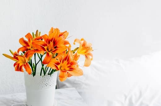無添加化粧水おすすめ12選ランキング