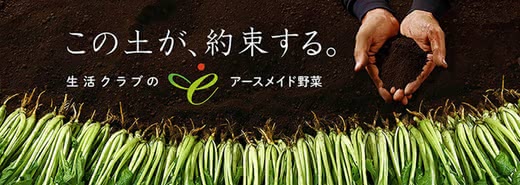 野菜宅配サービスランキングおすすめ
