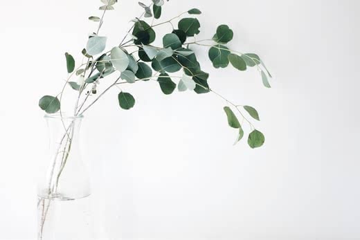 エイジングケア化粧水
