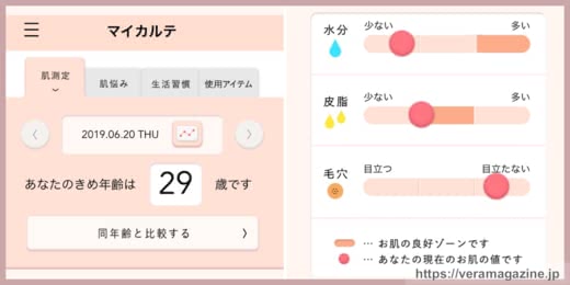 ナビジョン フィルパッチ