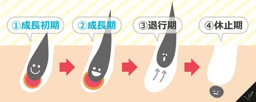 SSC脱毛