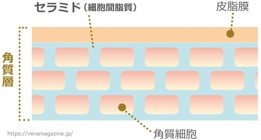 セラミド乳液