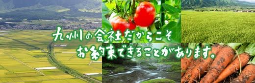 野菜宅配サービスランキングおすすめ