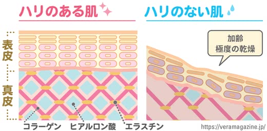 ハリ美容液