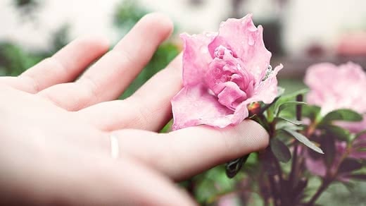 洗い流さないトリートメント人気おすすめランキング