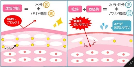 敏感肌の美容液おすすめランキング