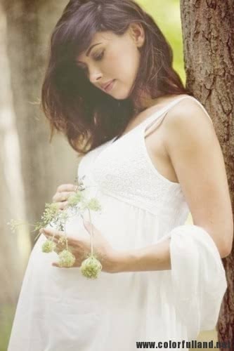 妊婦貧血妊娠人気おすすめランキング