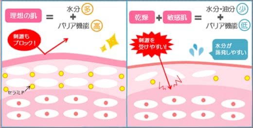 敏感肌原因敏感肌とは人気おすすめランキング
