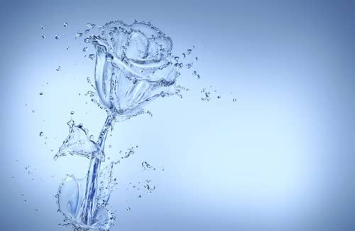 プラセンタ化粧水