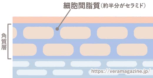 セラミド,化粧水