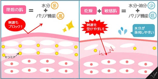 乾燥肌化粧品人気おすすめランキング保湿
