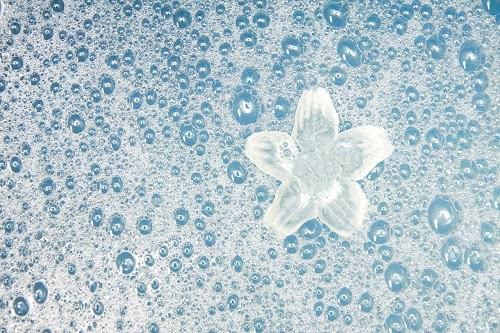 敏感肌洗顔