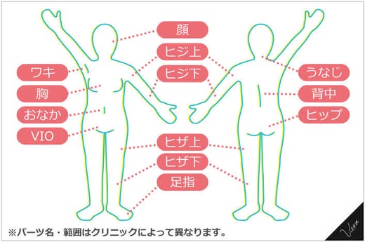 脱毛病院人気おすすめランキング