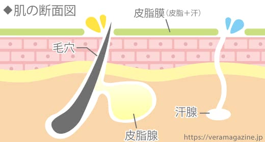 毛穴クレンジング