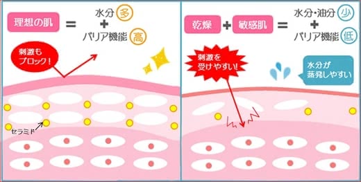 化粧水 合わない