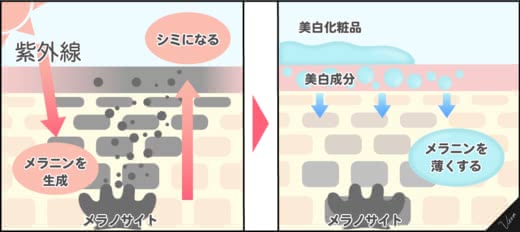 シミ化粧品人気おすすめランキング