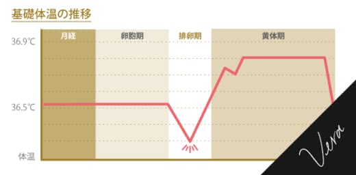 排卵日症状妊娠妊活人気おすすめランキング