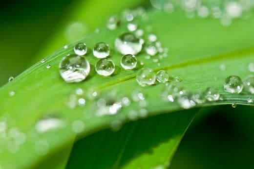 プラセンタ化粧水