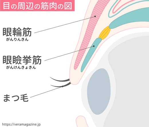 まぶたたるみ