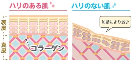 ほうれい線原因