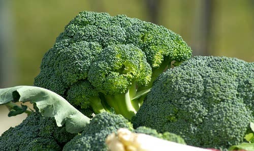 葉酸食品食べ物人気おすすめランキング