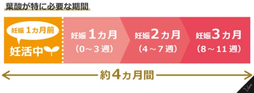 葉酸妊娠人気おすすめランキング