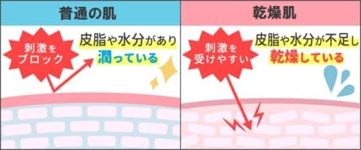 乾燥肌化粧水